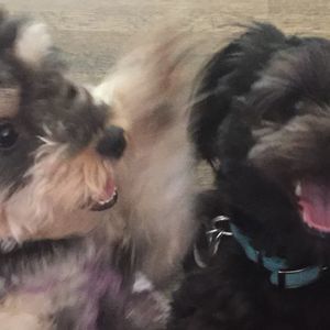 Meet your Posher, Rebecca